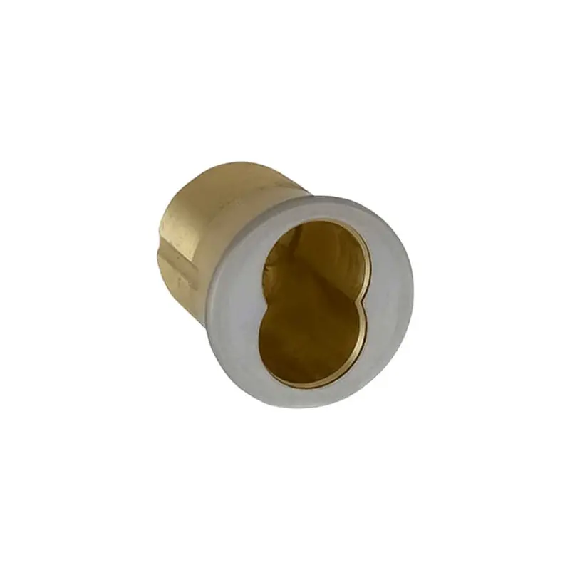 Accentra Lfic Mortise Cylinder Housing – 1214 Model With 6-Pin 1160E Cam 1
