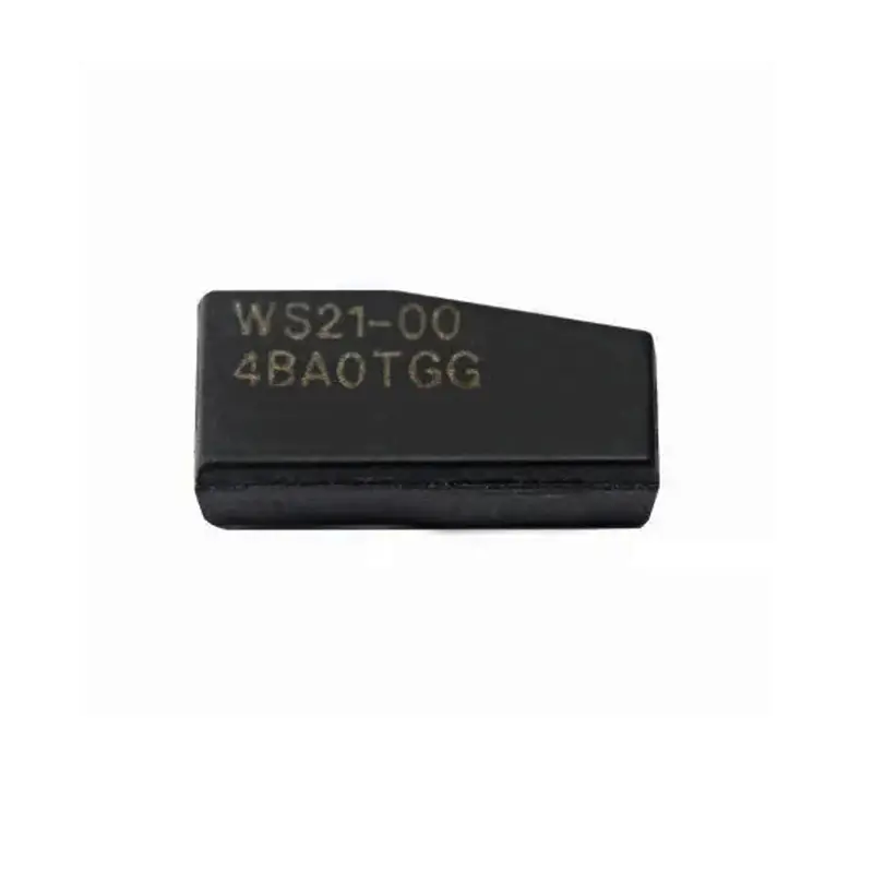 Texas Instruments Trpws21 H-Blank Chip – 128-Bit For H-Chip Generation 1